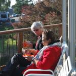 Cambria_0037 (November 04, 2011)